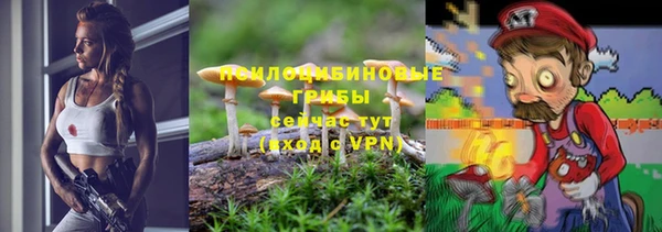 прущая мука Медвежьегорск