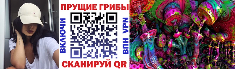 Псилоцибиновые грибы Psilocybine cubensis Радужный