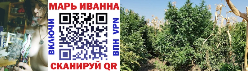 Бошки марихуана индика  Купить где  Радужный 